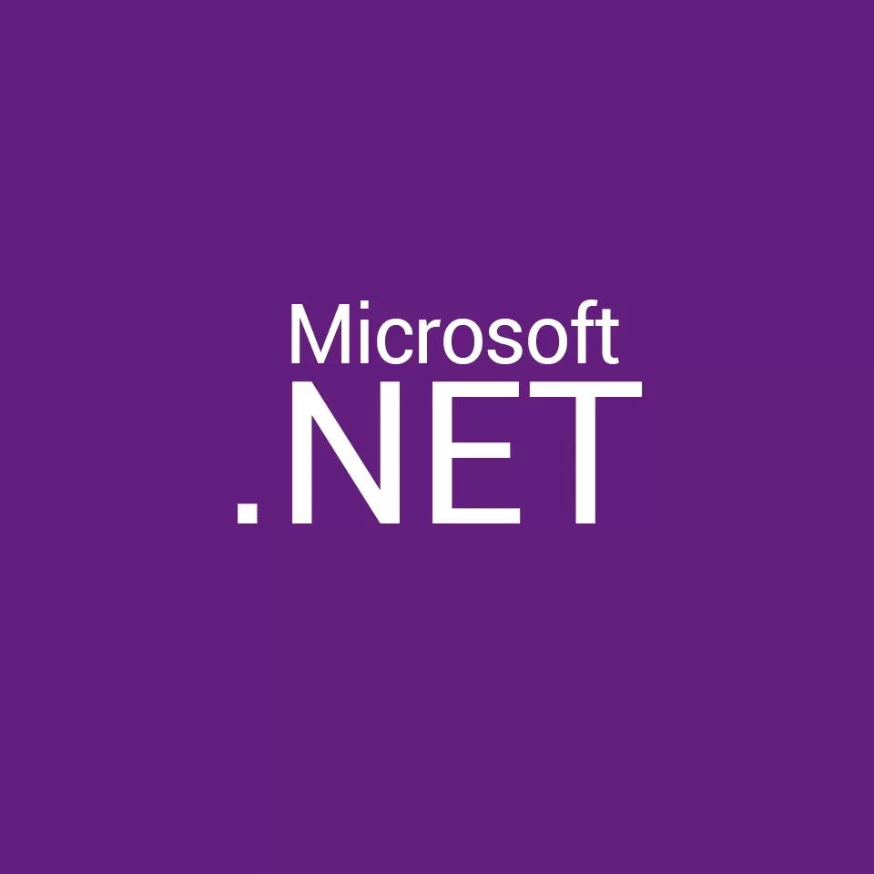 Microsoft Net Development